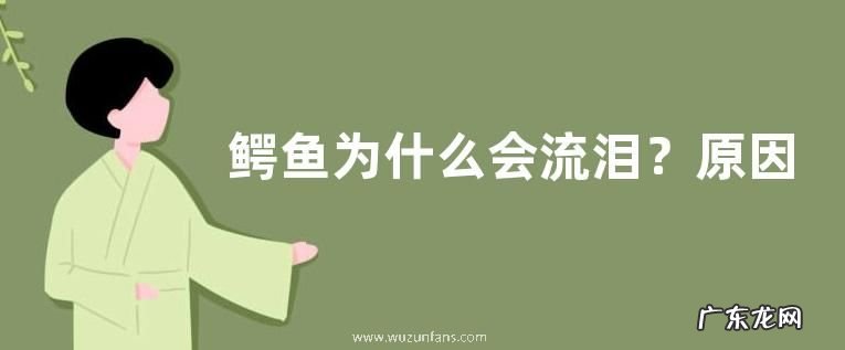 鳄鱼为什么会流泪?原因如下