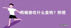 鸭嘴兽吃什么食物？附栖息环境与生长繁殖方式