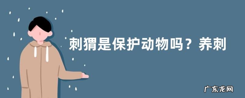 刺猬是保护动物吗?养刺猬需要怎么做