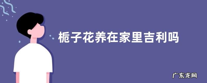 栀子花养在家里吉利吗 适合在家里养吗