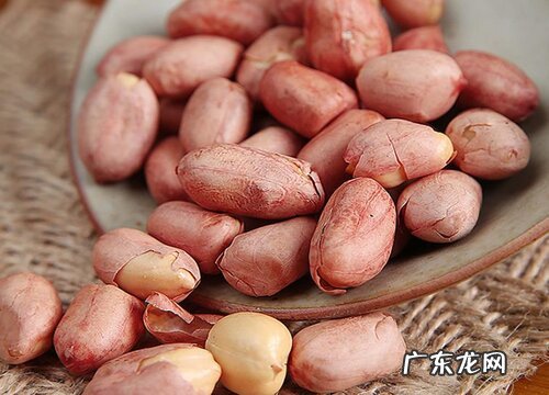 兔子可以吃花生吗 兔子能不能吃花生