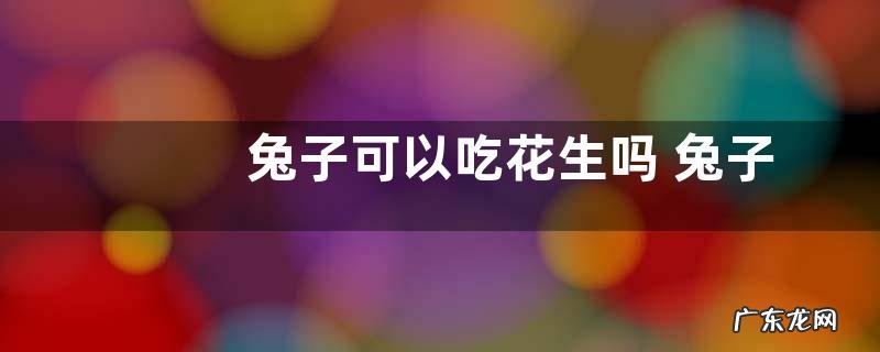兔子可以吃花生吗 兔子能不能吃花生