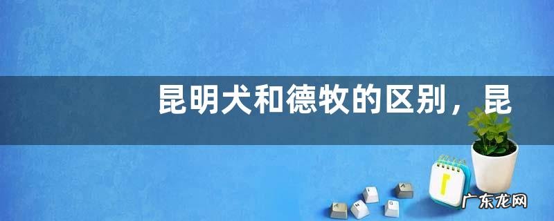 昆明犬和德牧的区别,昆明犬和德牧哪个好