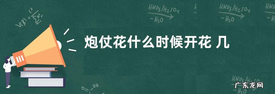 炮仗花什么时候开花 几月份开花
