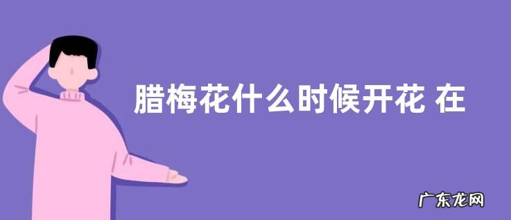 腊梅花什么时候开花 在几月份开花