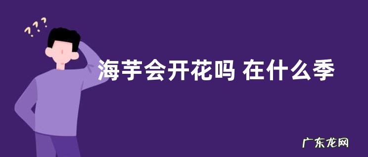 海芋会开花吗 在什么季节开花