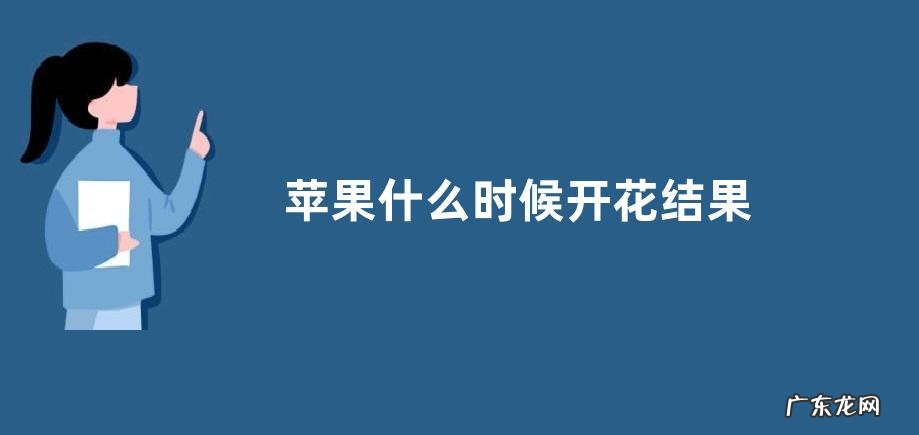 苹果什么时候开花结果 开花季节