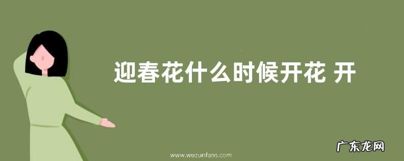 迎春花什么时候开花 开花季节