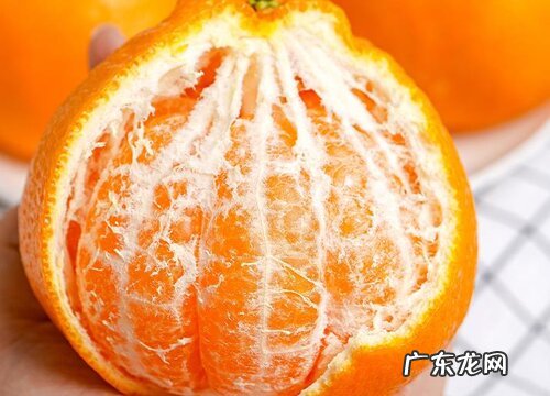 耙耙柑哪里产的最好吃