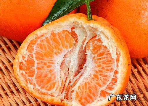 耙耙柑哪里产的最好吃