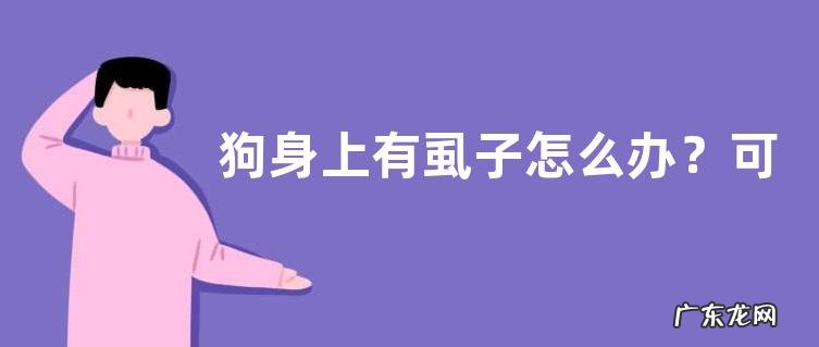 狗身上有虱子怎么办?可喷洒驱虫药水