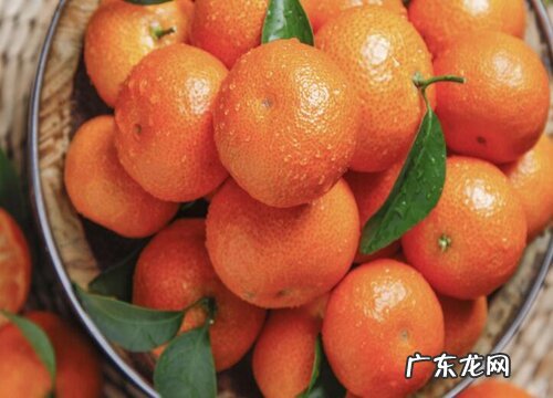 福州盛产什么水果有名