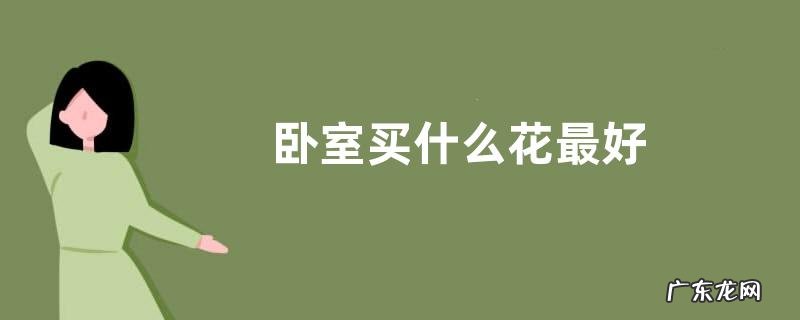 卧室买什么花最好
