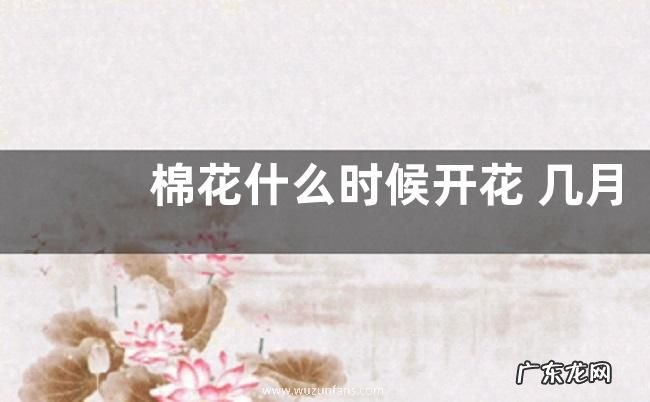 棉花什么时候开花 几月份开花