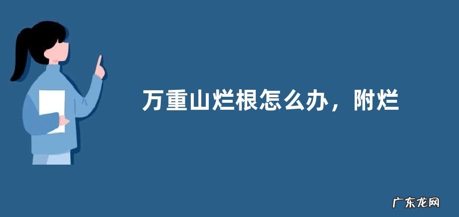 万重山烂根怎么办,附烂根的原因