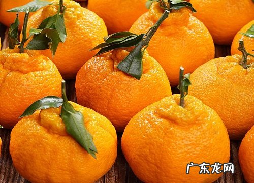 丑柑什么时候上市 一般几月份成熟