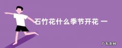 石竹花什么季节开花 一年四季开花吗