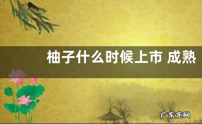 柚子什么时候上市 成熟季节是几月