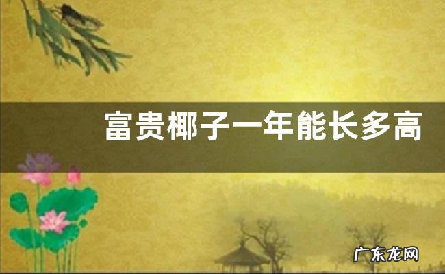 富贵椰子一年能长多高 每年长多少厘米