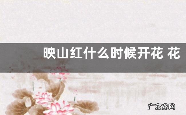 映山红什么时候开花 花期多长时间