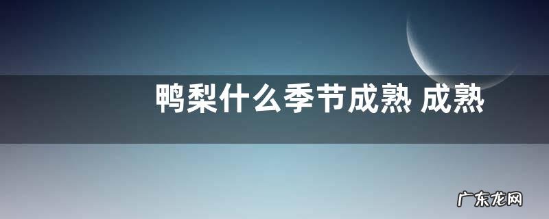 鸭梨什么季节成熟 成熟季节是几月份
