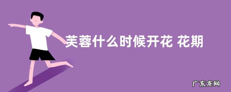 芙蓉什么时候开花 花期多长时间
