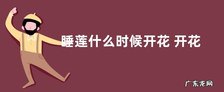 睡莲什么时候开花 开花的花语与寓意