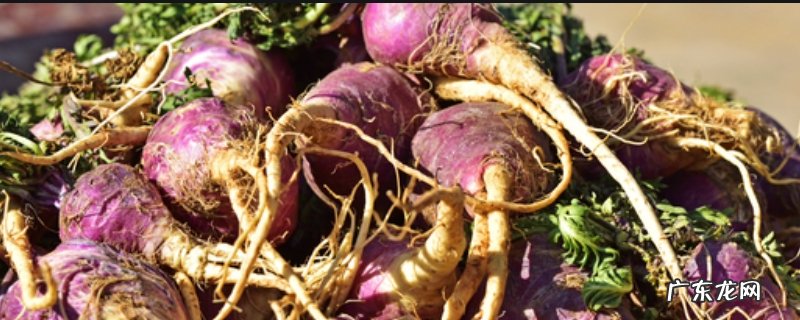 玛卡产地，玛卡长什么样？怎么吃