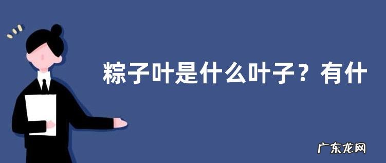 粽子叶是什么叶子?有什么作用