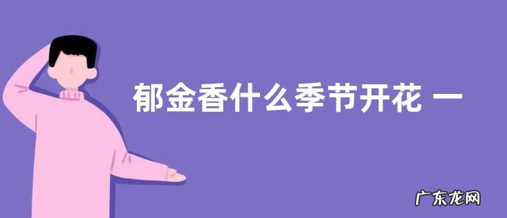 郁金香什么季节开花 一年开几次花