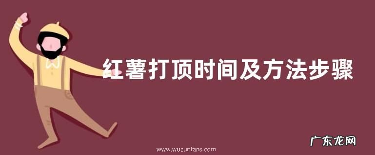 红薯打顶时间及方法步骤