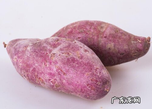 紫薯什么季节成熟收获 成熟季节是几月份