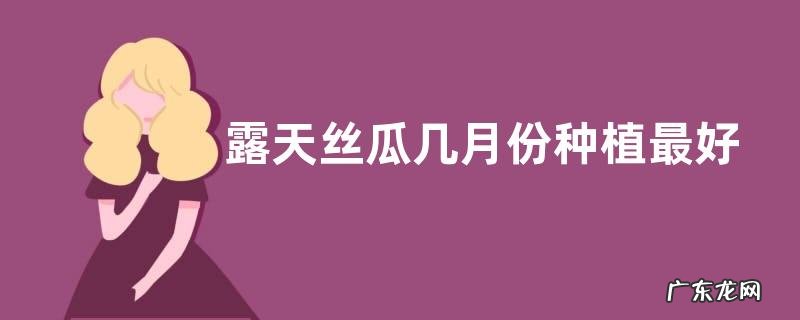 露天丝瓜几月份种植最好 种植时间和方法