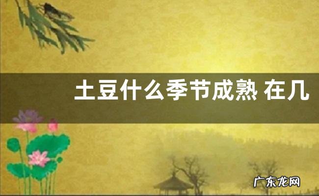 土豆什么季节成熟 在几月份成熟