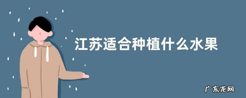 江苏适合种植什么水果