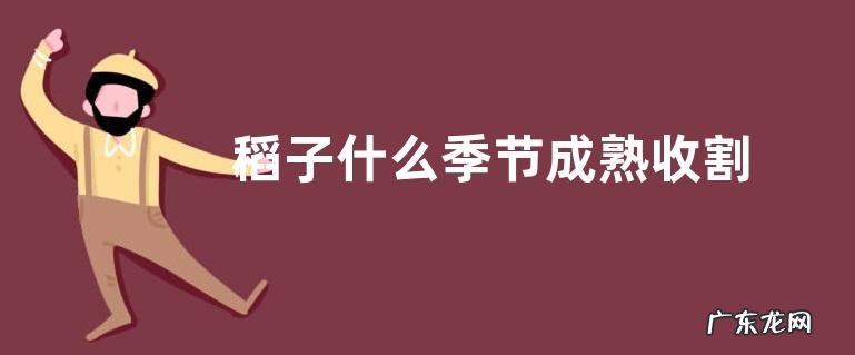 稻子什么季节成熟收割 成熟期是几月份