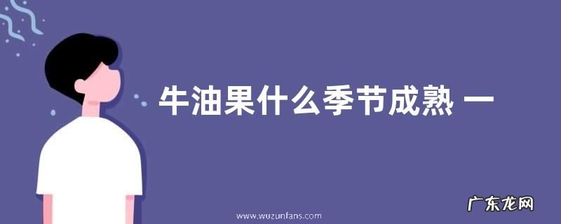 牛油果什么季节成熟 一般是几月份成熟的