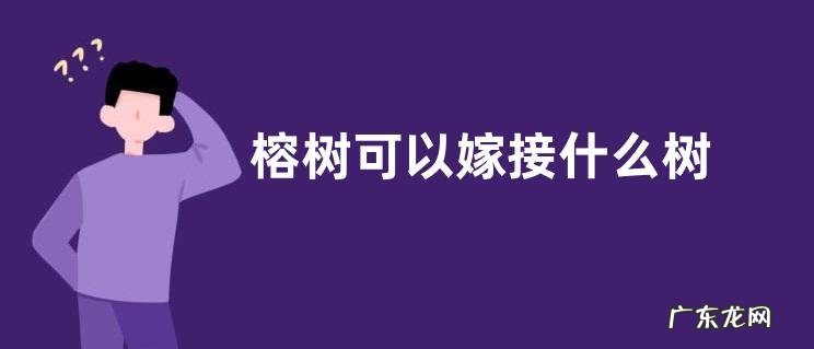 榕树可以嫁接什么树