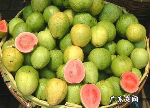 芭乐果是什么季节的水果