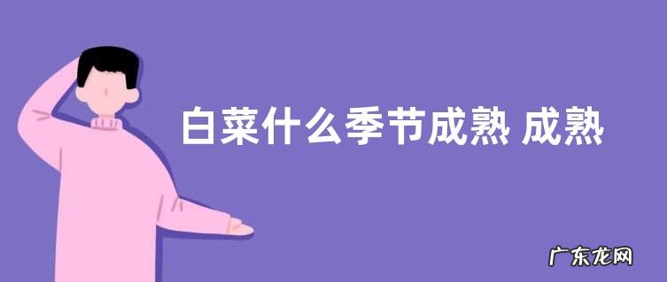 白菜什么季节成熟 成熟季节是几月份