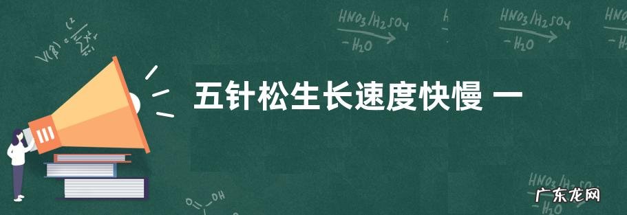 五针松生长速度快慢 一年能长多少