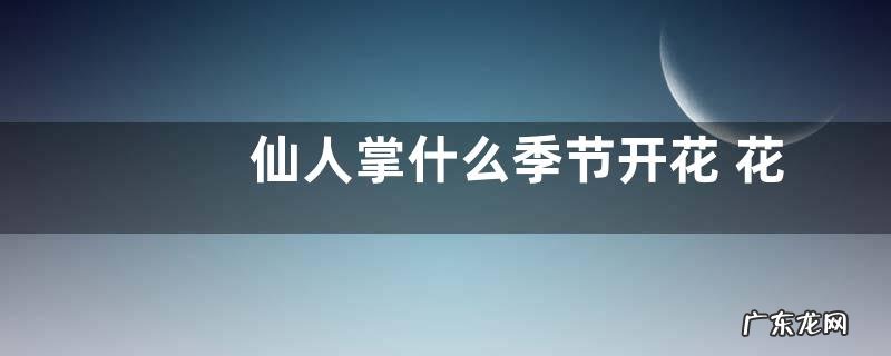 仙人掌什么季节开花 花期一般在几月份