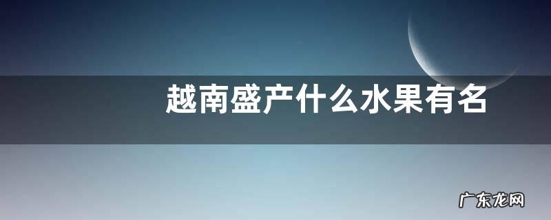 越南盛产什么水果有名