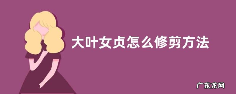 大叶女贞怎么修剪方法