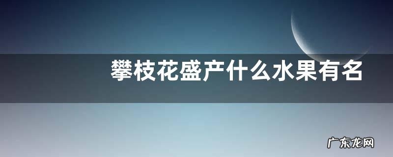 攀枝花盛产什么水果有名