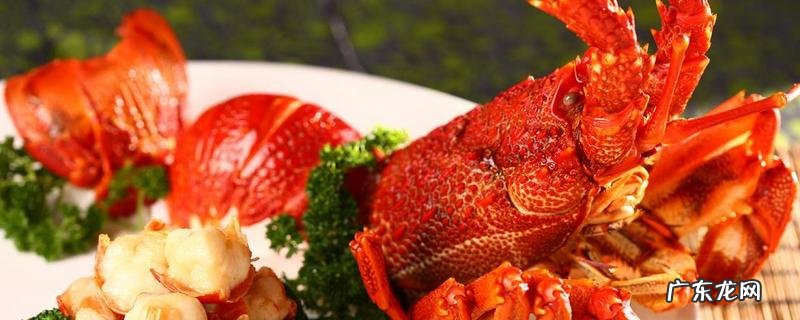 澳洲龙虾和波士顿龙虾有什么区别?详解宰杀步骤