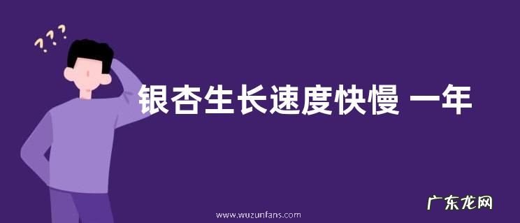 银杏生长速度快慢 一年能长多少