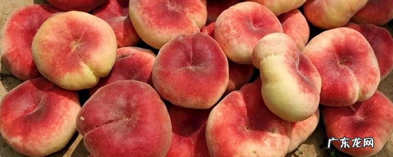 四川适合种什么水果?为什么适合