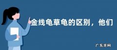 金线龟草龟的区别，他们吃什么