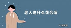 老人送什么花合适